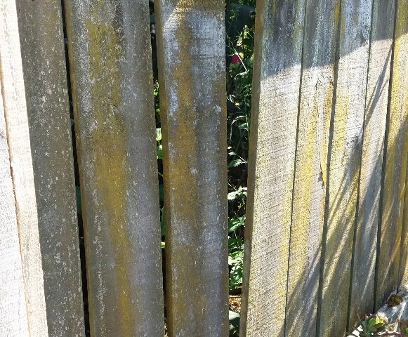 Winter Damages on Timber Fences