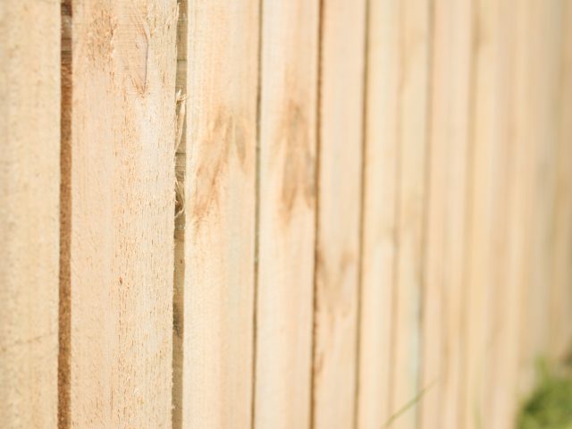 Animal Safety with Timber Fencing