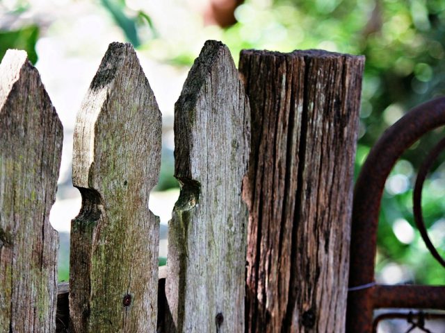 How to protect your timber fence from rotting and weather damage